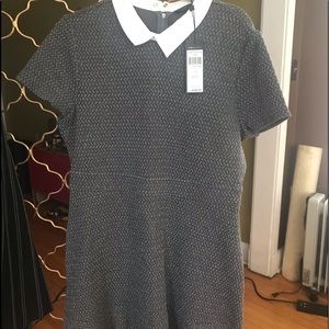 BCBG GREY WITH WHITE COLLAR DRESS SZ L NWT